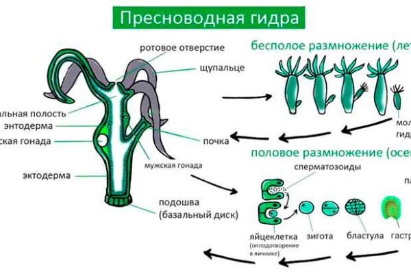 Как зайти на кракен через айфон