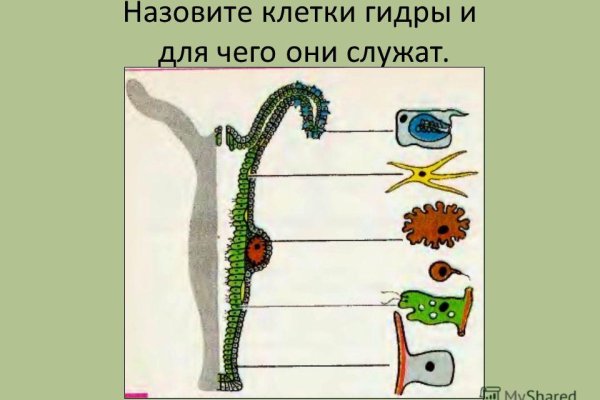 Актуальное зеркало на кракен