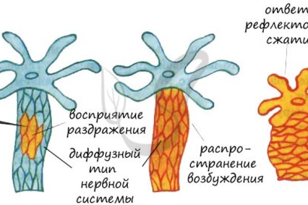 Зеркало на кракен